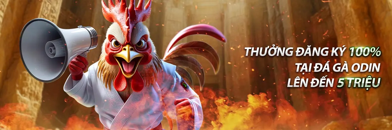 Hình ảnh chính: Chiến lược và Mẹo chơi Casino Trực tuyến fi79