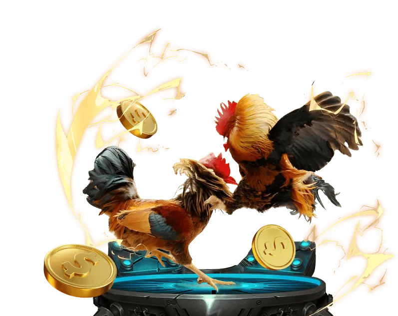 Hỗ trợ khách hàng 24/7 fi79